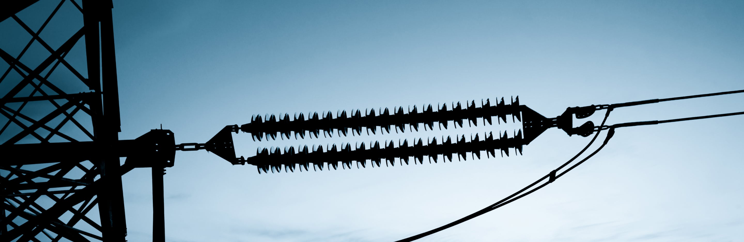Protecting telemetry data in state-wide critical infrastructure network