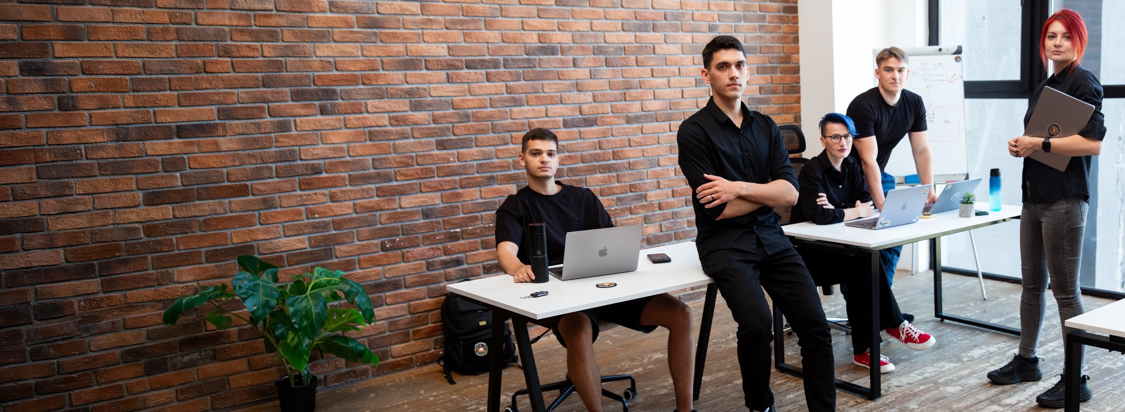 Career at
Cossack Labs